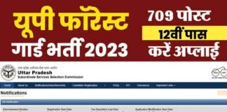 Forest Guard Recruitment 2023: यूपी में फॉरेस्ट गार्ड के 709 पदों पर भर्ती के लिए आवेदन शुरू, 12वीं पास जल्द करें अप्लाई UPSSSC Forest Guard Recruitment 2023