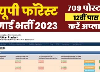 Forest Guard Recruitment 2023: यूपी में फॉरेस्ट गार्ड के 709 पदों पर भर्ती के लिए आवेदन शुरू, 12वीं पास जल्द करें अप्लाई UPSSSC Forest Guard Recruitment 2023