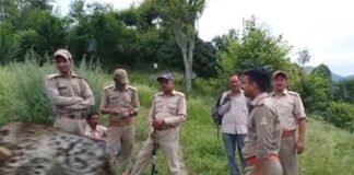 श्रीनगर के ढिकाल गांव में 5 साल की बच्ची को निवाला बनाने वाला आदमखोर गुलदार ढेर