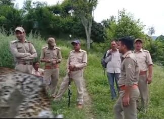 श्रीनगर के ढिकाल गांव में 5 साल की बच्ची को निवाला बनाने वाला आदमखोर गुलदार ढेर