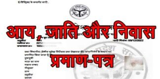 अब एक हफ्ते के अंदर मिलेंगे आय, जाति और निवास प्रमाणपत्र, हीलाहवाली करने वालों के खिलाफ होगा सख्त एक्शन, सीएम ने दिये निर्देश