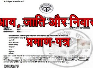 अब एक हफ्ते के अंदर मिलेंगे आय, जाति और निवास प्रमाणपत्र, हीलाहवाली करने वालों के खिलाफ होगा सख्त एक्शन, सीएम ने दिये निर्देश