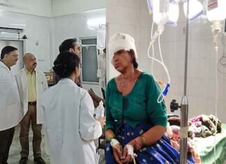 बकरी चराने जंगल गई महिला पर भालू के किया हमला, गंभीर रूप से घायल, एयरलिफ्ट कर एम्स ऋषिकेश में कराया भर्ती Bear attacks on woman
