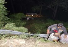 उत्तराखंड में बड़ा हादसा, 32 लोगों से भरी बस गहरी खाई में गिरी, SDRF द्वारा राहत एवं बचाव अभियान जारी