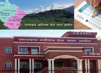 सरकारी नौकरी: उत्तराखंड में 12वीं पास युवाओं के लिए निकली भर्ती, जानिए कब और कैसे करें आवेदन uksssc-bharti-2025
