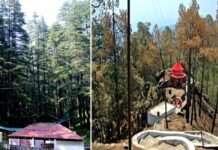 देवभूमि’ या ‘वनभूमि’, इस समकालीन युग में पहाड़ों की राजसी भूमि को आप क्या कहेंगे?