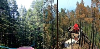 देवभूमि’ या ‘वनभूमि’, इस समकालीन युग में पहाड़ों की राजसी भूमि को आप क्या कहेंगे?