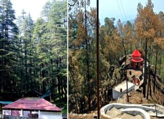 देवभूमि’ या ‘वनभूमि’, इस समकालीन युग में पहाड़ों की राजसी भूमि को आप क्या कहेंगे?