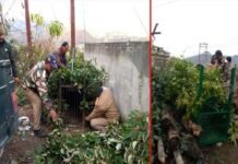 श्रीनगर क्षेत्र में गुलदार की दहशत जारी, श्रीनगर समेत एक दर्जन गांवों में लगा नाइट कर्फ्यू, खिर्सू ब्लॉक के स्कूलों में छुट्टी