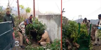श्रीनगर क्षेत्र में गुलदार की दहशत जारी, श्रीनगर समेत एक दर्जन गांवों में लगा नाइट कर्फ्यू, खिर्सू ब्लॉक के स्कूलों में छुट्टी