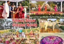ग्रेटर नोएडा के सिटी पार्क में पुष्पोत्सव 2024 का आगाज, तीन दिन चलेगा, रोज होंगे सांस्कृतिक कार्यक्रम Flower Show Greater Noida 2024