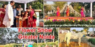 ग्रेटर नोएडा के सिटी पार्क में पुष्पोत्सव 2024 का आगाज, तीन दिन चलेगा, रोज होंगे सांस्कृतिक कार्यक्रम Flower Show Greater Noida 2024