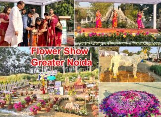 ग्रेटर नोएडा के सिटी पार्क में पुष्पोत्सव 2024 का आगाज, तीन दिन चलेगा, रोज होंगे सांस्कृतिक कार्यक्रम Flower Show Greater Noida 2024