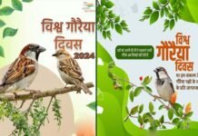 विश्व गौरैया दिवस 2024: क्यों मनाया जाता है विश्व गौरैया दिवस? World-Sparrow-Day-2024