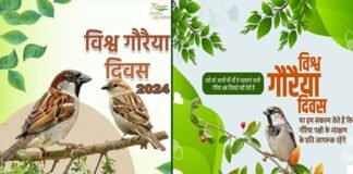 विश्व गौरैया दिवस 2024: क्यों मनाया जाता है विश्व गौरैया दिवस? World-Sparrow-Day-2024