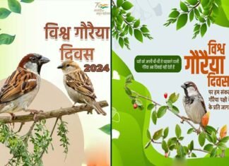विश्व गौरैया दिवस 2024: क्यों मनाया जाता है विश्व गौरैया दिवस? World-Sparrow-Day-2024
