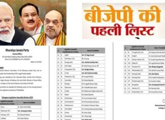 बीजेपी ने 195 उम्मीदवारों की पहली लिस्ट की जारी, दिल्ली में किन चेहरों पर लगाया दांव, किसका कटा टिकट ?