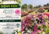 ग्रेटर नोएडा के सिटी पार्क में 8 मार्च से तीन दिवसीय पुष्प प्रदर्शनी (FLOWER SHOW), डहेलिया पुष्प थीम, लाइव संगीत व नृत्य-कला का भी कार्यक्रम flower show in greater Noida