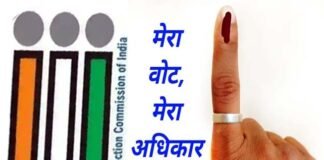 दिल्ली में मतदान के लिए मिलेगा अवकाश, निर्वाचन आयोग ने की घोषणा