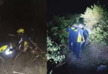 दुखद: नैनीताल में बड़ा सड़क हादसा, गहरी खाई में गिरा वाहन, चालक समेत आठ लोगों की मौत, 2 घायल