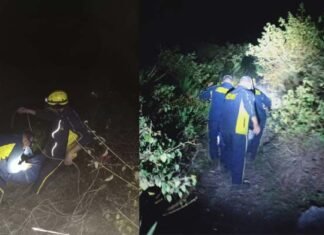 दुखद: नैनीताल में बड़ा सड़क हादसा, गहरी खाई में गिरा वाहन, चालक समेत आठ लोगों की मौत, 2 घायल