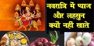 नवरात्रि के दिनों में प्याज-लहसुन क्यों नहीं खाते हैं? जानिए इसके पीछे की मान्यता, आयुर्वेदिक एवं वैज्ञानिक कारण