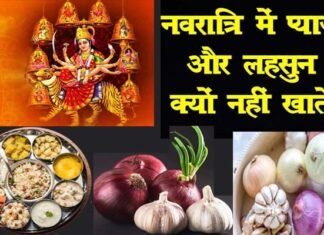 नवरात्रि के दिनों में प्याज-लहसुन क्यों नहीं खाते हैं? जानिए इसके पीछे की मान्यता, आयुर्वेदिक एवं वैज्ञानिक कारण