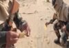 BSF के जवानों ने बीकानेर में तपती रेत पर सेंका पापड़, देशभर में भीषण गर्मी का कहर, जानिए कितना पहुँच गया है तापमान, राजस्थान में रेड अलर्ट जारी BSF soldiers baked papad on hot sand in Bikaner