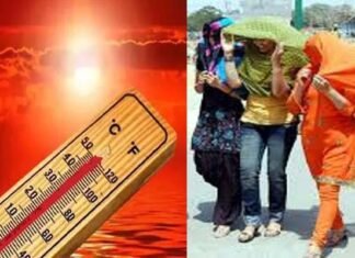 क्या वाकई दिल्ली में 52.9 डिग्री सेल्सियस तक पहुंच गया था पारा? केंद्रीय मंत्री ने उठाए सवाल, IMD मामले की करेगा जांच