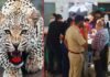 श्रीनगर में मां की गोद में बैठी बच्ची पर झपटा गुलदार, गंभीर हालत में अस्पताल में भर्ती है 4 साल की मासूम Guldar-attacked-in-srinagar garhwal