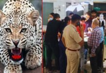 श्रीनगर में मां की गोद में बैठी बच्ची पर झपटा गुलदार, गंभीर हालत में अस्पताल में भर्ती है 4 साल की मासूम Guldar-attacked-in-srinagar garhwal