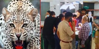 श्रीनगर में मां की गोद में बैठी बच्ची पर झपटा गुलदार, गंभीर हालत में अस्पताल में भर्ती है 4 साल की मासूम Guldar-attacked-in-srinagar garhwal
