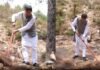 उत्तराखंड में वनाग्नि रोकने के लिए ‘पिरूल लाओ-पैसे पाओ’ मिशन पर काम करेगी धामी सरकार, जानिए कितने रुपये किलो खरीदा जायेगा पिरूल Pirul Laao-Paise Pao mission