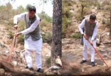 उत्तराखंड में वनाग्नि रोकने के लिए ‘पिरूल लाओ-पैसे पाओ’ मिशन पर काम करेगी धामी सरकार, जानिए कितने रुपये किलो खरीदा जायेगा पिरूल Pirul Laao-Paise Pao mission