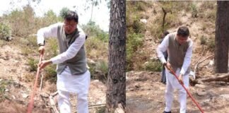 उत्तराखंड में वनाग्नि रोकने के लिए ‘पिरूल लाओ-पैसे पाओ’ मिशन पर काम करेगी धामी सरकार, जानिए कितने रुपये किलो खरीदा जायेगा पिरूल Pirul Laao-Paise Pao mission