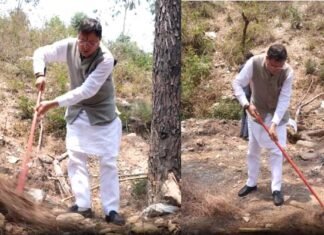 उत्तराखंड में वनाग्नि रोकने के लिए ‘पिरूल लाओ-पैसे पाओ’ मिशन पर काम करेगी धामी सरकार, जानिए कितने रुपये किलो खरीदा जायेगा पिरूल Pirul Laao-Paise Pao mission