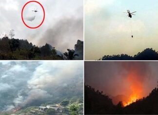 पौड़ी में जंगलों में आग पर काबू पाने के लिए लगातार दूसरे दिन ली गई एयर फोर्स की मदद, सेना के हेलीकॉप्टर से बरसाया पानी