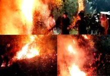 पौड़ी के डीएम आशीष चौहान स्वयं पहुंचे जंगल की आग बुझाने,आग लगाने वालों पर कठोर दंडात्मक कार्रवाई के दिए निर्देश