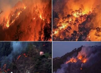 Uttarakhand Forest Fire: बारिश के बाद फिर से धधकने लगे जंगल, गढ़वाल से कुमाऊं तक वनाग्नि के सात नए मामले