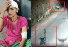 खेत में घास काट रही महिला पर झपटा गुलदार, कमला देवी की हिम्मत की देनी होगी दाद, लड़कर बचाई अपनी जान