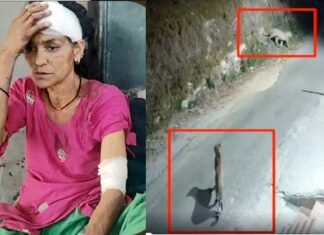 खेत में घास काट रही महिला पर झपटा गुलदार, कमला देवी की हिम्मत की देनी होगी दाद, लड़कर बचाई अपनी जान