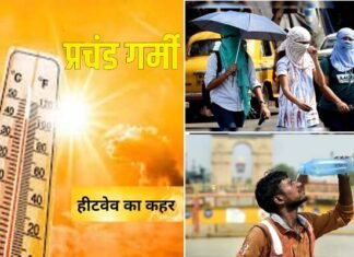 राजस्थान के फलोदी में 50 डिग्री तक पहुंचा तापमान, भीषण गर्मी से ‘धधक’ रहा दिल्ली-एनसीआर, देशभर में लू से अबतक 60 से अधिक की मौत