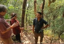 मिश्रित वन होने से ना आग लगने का डर, ना ही चारा-पाती की समस्या: डॉ. सीएमएस रावत mixed forest no fear of fire nor problem of fodder