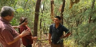 मिश्रित वन होने से ना आग लगने का डर, ना ही चारा-पाती की समस्या: डॉ. सीएमएस रावत mixed forest no fear of fire nor problem of fodder