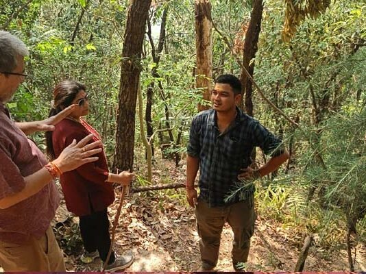 मिश्रित वन होने से ना आग लगने का डर, ना ही चारा-पाती की समस्या: डॉ. सीएमएस रावत mixed forest no fear of fire nor problem of fodder