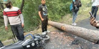 दुखद हादसा: आंधी-तूफान से बाइक सवार युवकों के ऊपर गिरा चीड़ का पेड़, दोनों की मौत pine tree fell on the bike riders