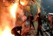 पौड़ी गढ़वाल: परखुंडे को आग से बचाने के दौरान झुलसी महिला, उपचार के दौरान तोड़ा दम women burnt in Forest Fire In Pauri