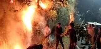 पौड़ी गढ़वाल: परखुंडे को आग से बचाने के दौरान झुलसी महिला, उपचार के दौरान तोड़ा दम women burnt in Forest Fire In Pauri