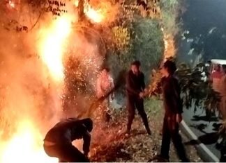 पौड़ी गढ़वाल: परखुंडे को आग से बचाने के दौरान झुलसी महिला, उपचार के दौरान तोड़ा दम women burnt in Forest Fire In Pauri