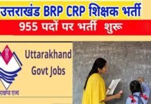 उत्तराखंड शिक्षा विभाग में BRP-CRP के 955 पदों पर भर्ती प्रक्रिया शुरू, बीएड के साथ-साथ CTET अथवा UTET अनिवार्य, यहाँ देखें पूरी डिटेल